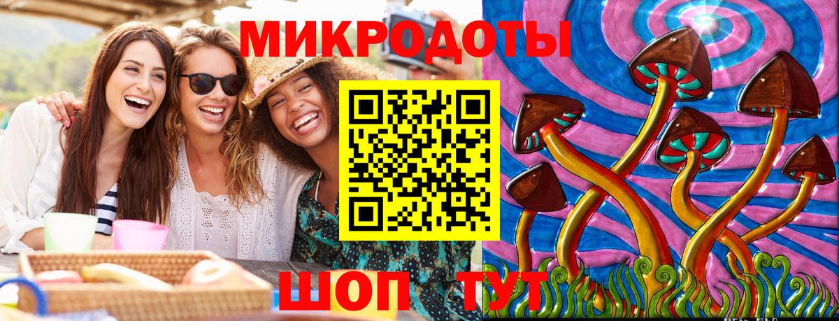 Северск  Галлюциногенные грибы прущие грибы  Вход с VPN 