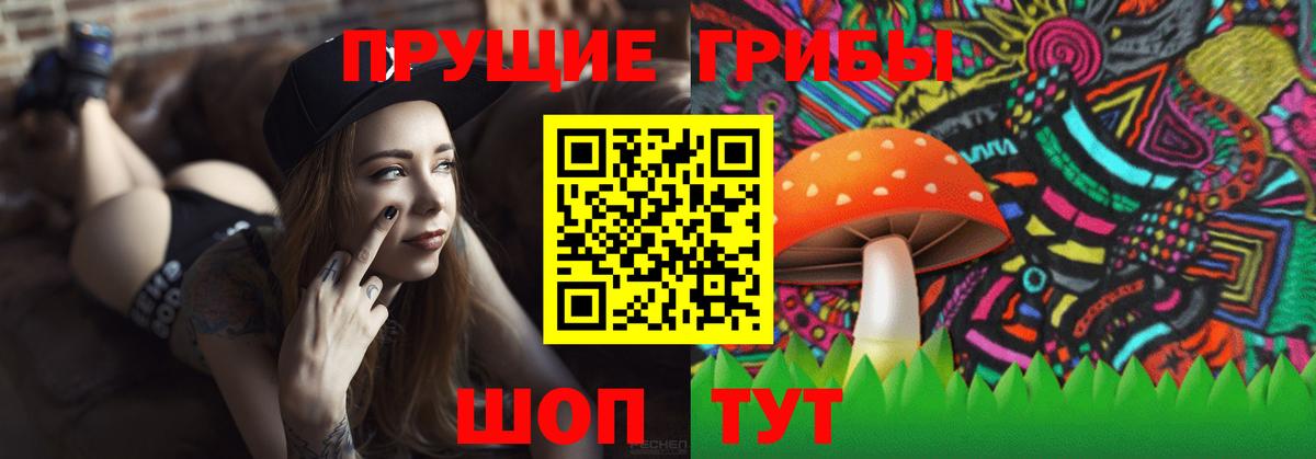 Псилоцибиновые грибы ЛСД Северск